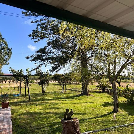 Villa Quinta Dos Viegas Distretto di Distretto di Faro Esterno foto