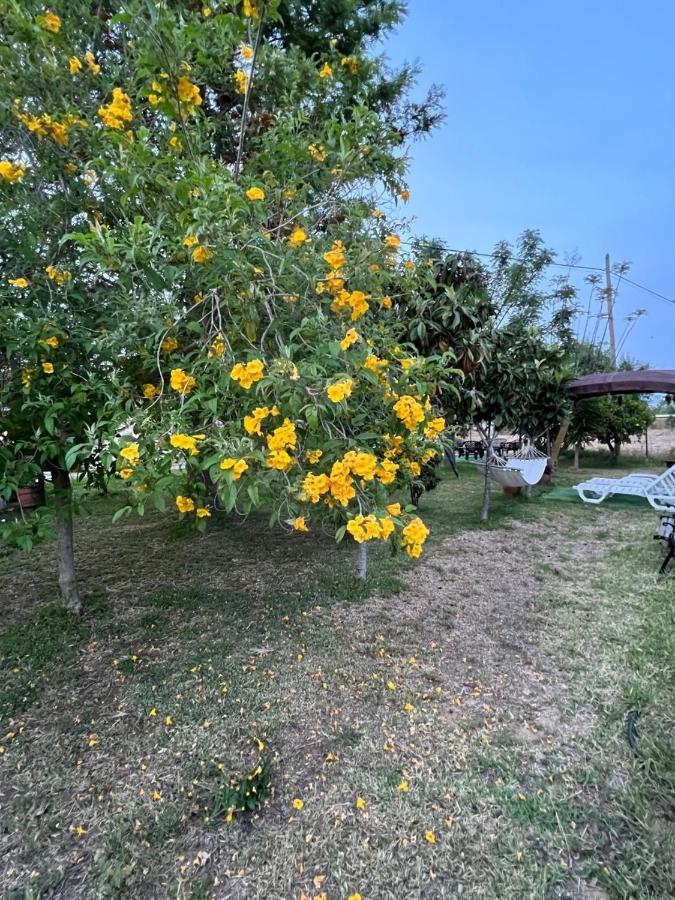 Villa Quinta Dos Viegas Distretto di Distretto di Faro Esterno foto